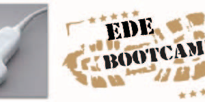 Bootcamp EDE: Drop and give me 200